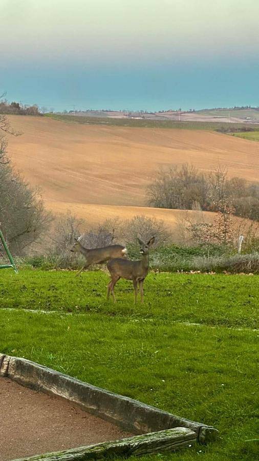 Villa pour 15 personnes, avec piscine et jardin ainsi que bassin pour enfant et vue dans l' Ariège - 2