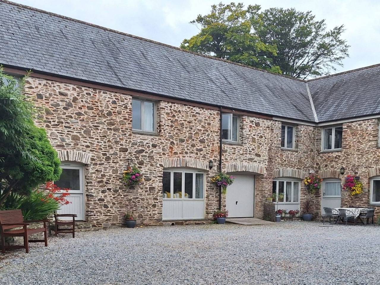 Cherry at Buckland Court in Slapton, South Devon