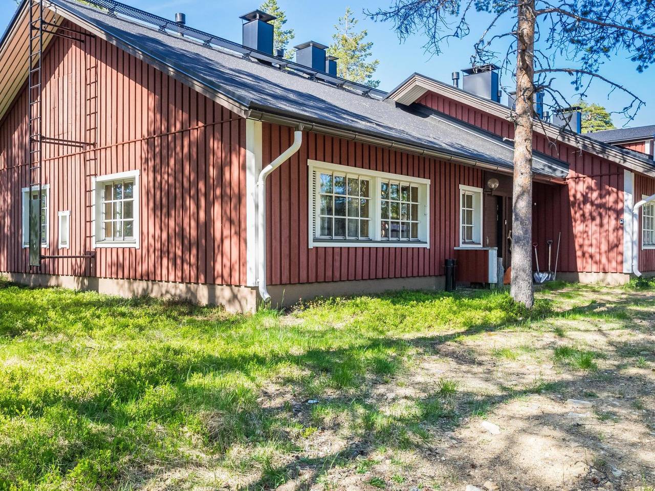 Soidinaukia a 11 in Saariselka, Saariselkä
