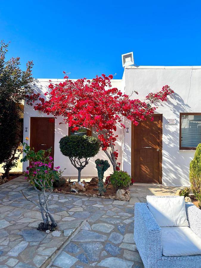 Appartement entier, Standard Apartment in Stalída, Malia