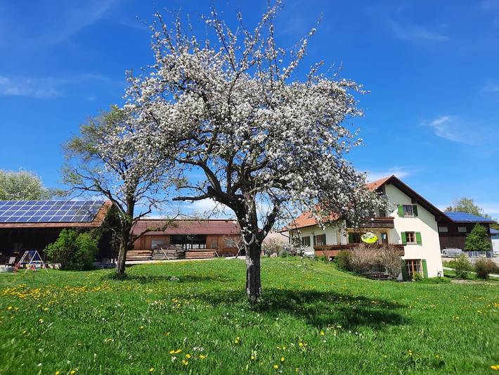 Ferienhaus für 4 Personen, mit Balkon und Balkon/Terrasse sowie Terrasse und Garten in Ottobeuren