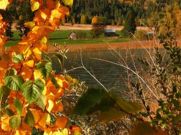 Cabin Rentals And Lodges for 16 Guests in Kamloops Region, British Columbia, Picture 4