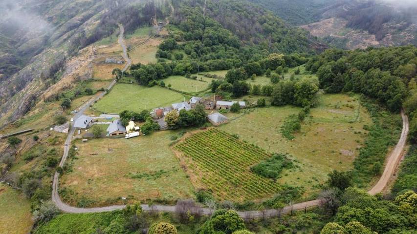 Casa rural con piscina para 10 personas, con piscina y piscina para niños además de vistas y jardín, Familias con niños en Provincia de Lugo - 2