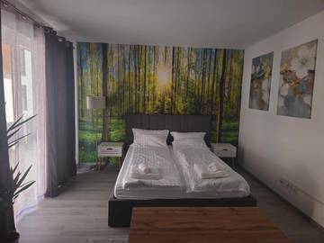 Gîte pour 2 personnes, avec jardin et vue dans Mureș