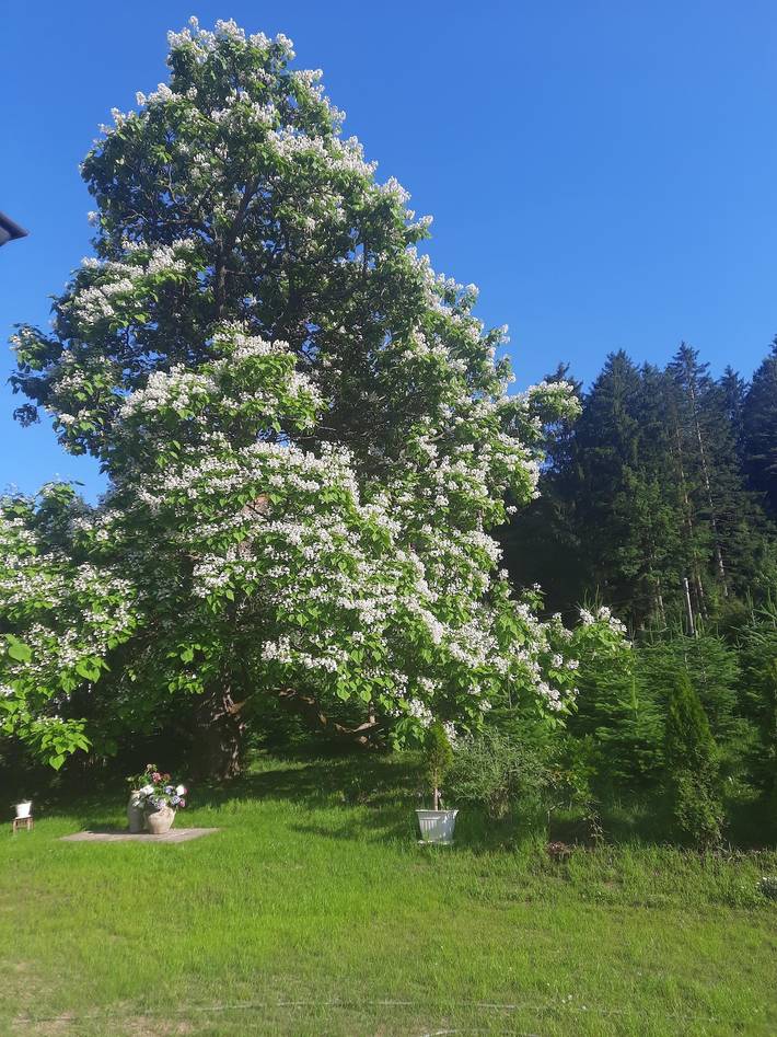 Sonniges, ruhiges Wohnen Ferienhaus Schwarz in Wernberg, Villach-Land