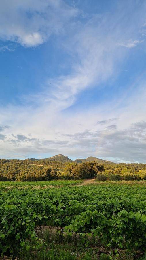 Masqueyras in Vacqueyras, Vaucluse