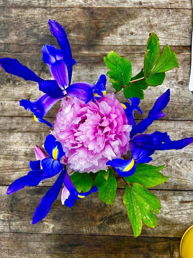 Gîte pour 6 personnes, avec vue et jardin à Ceton - 4