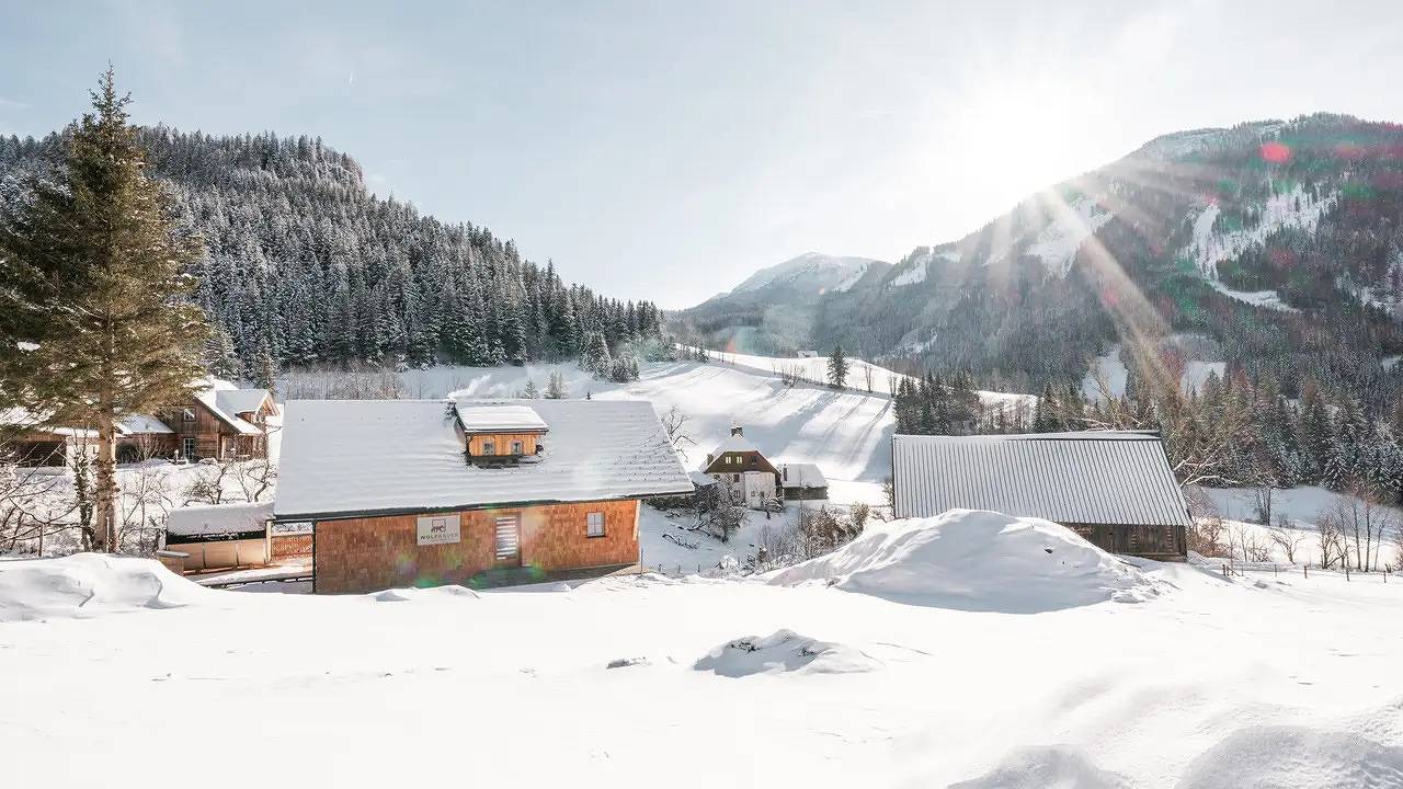 Ferienhaus für 8 Personen (85 m²) in Johnsbach in Admont, Gesäuse