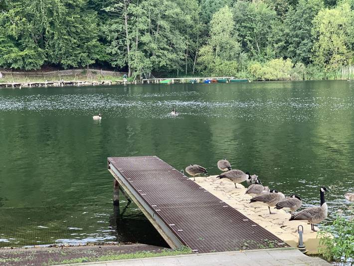 Ferienwohnung für 2 Personen, mit Balkon und Seeblick am Dieksee - 4