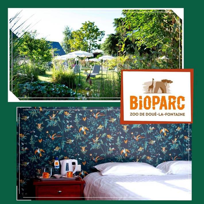 Hôtel pour 2 personnes, avec terrasse et jacuzzi ainsi que jardin et piscine, animaux acceptés à Doué-la-Fontaine - 4