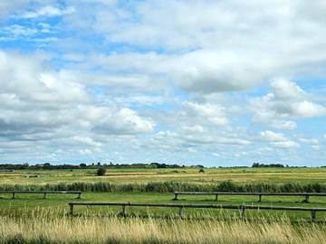 Ferieudlejning til 4 Personer i Højer, Vesterhavet, Billede 2