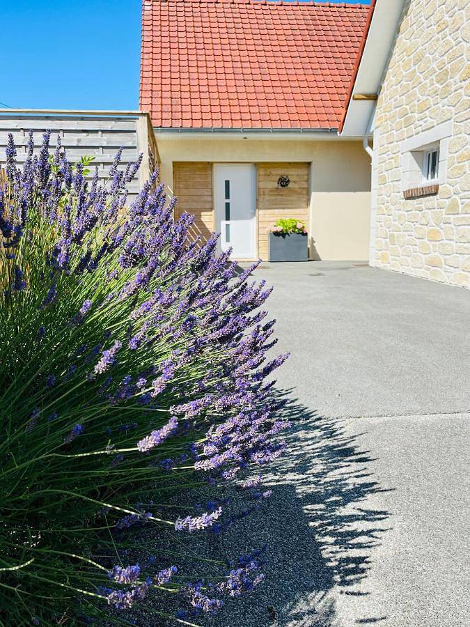 Maison d’hôte pour 2 personnes, avec sauna ainsi que jardin et jacuzzi dans le Pas-de-Calais - 4