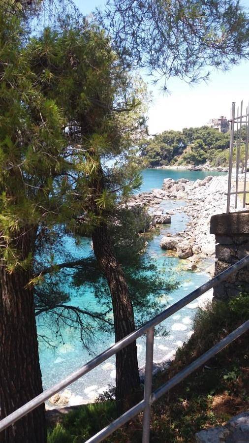 Location de vacances pour 5 personnes, avec Balcon et Terrasse ainsi que Jardin et Vue à Maratea - 4