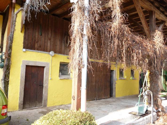 Location de vacances pour 6 personnes, animaux acceptés à Bindernheim - 2