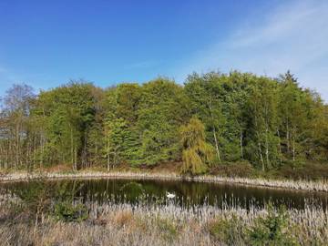 Ferienhaus für 7 Personen in Begtrup, Knebel, Bild 3