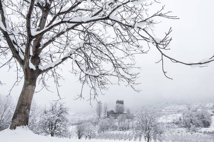 Chambre d’hôte pour 3 personnes, avec jardin et vue dans Gressan - 2