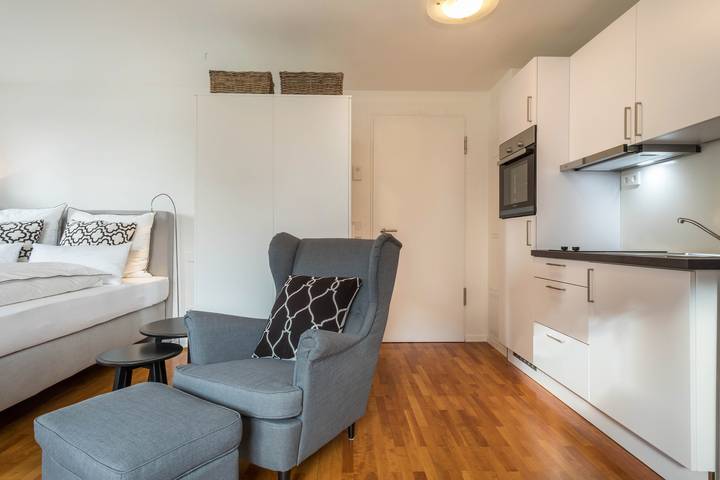 Appartement entier, Appartement moderne d'une pièce n° 12 en plein centre-ville avec Wi-Fi in Wangen, Region Bodensee-Oberschwaben