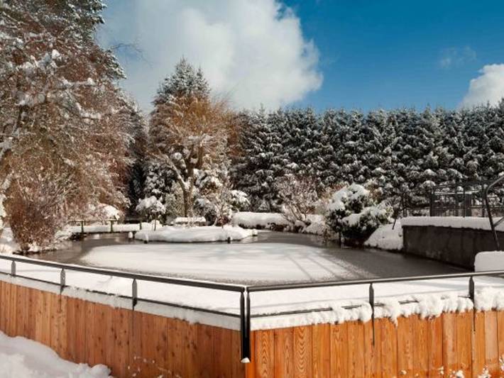 Hermosa casa rural con sauna, piscina nórdica y amplio parque en Provenchères-et-Colroy in Colroy-la-Grande, Parque natural regional de los Ballons des Vosges