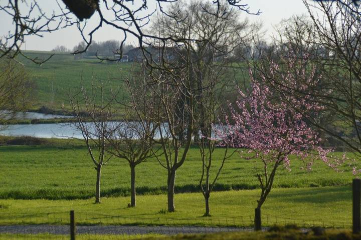 Location de vacances pour 10 personnes, avec vue et jardin dans Beaupréau-en-Mauges - 4