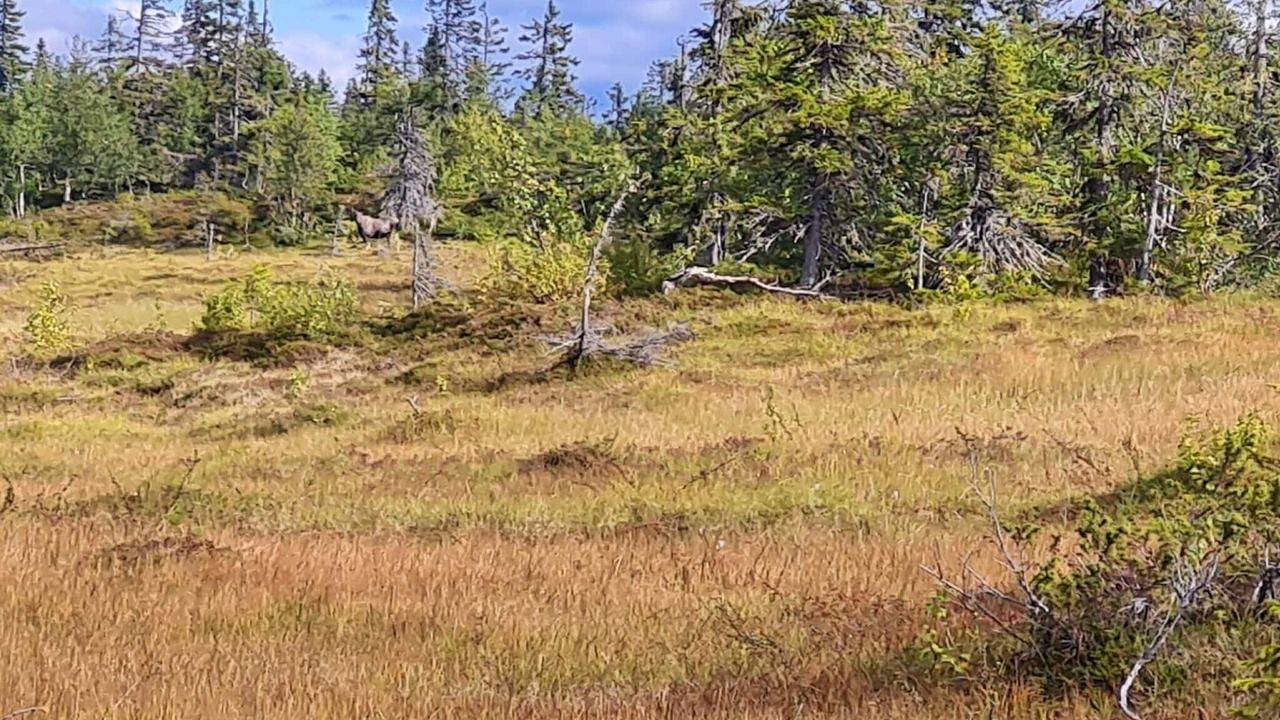 Chalet für 4 Personen in Jämtland, Nordschweden