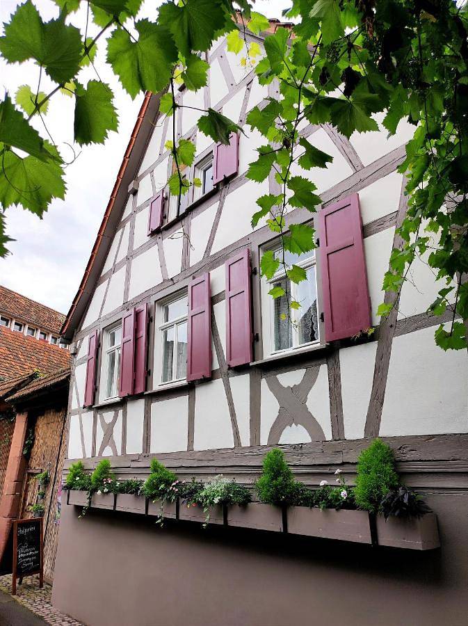 BnB für 2 Personen, mit Terrasse in Rheinland-Pfalz - 4