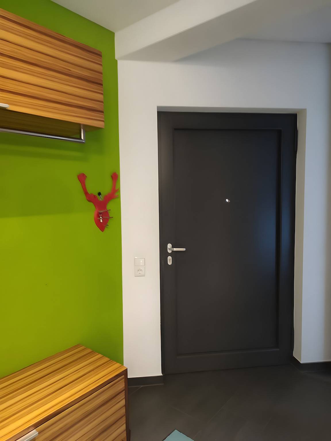 Ganze Wohnung, Ferienwohnung 'Loft Mit Kamin Und Whirlpool' mit privater Terrasse, privatem Garten und Wi-Fi in Lustenau, Bodensee-Vorarlberg