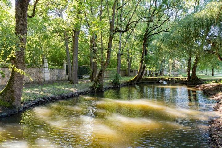 Hôtel pour 3 personnes, avec jardin et sauna ainsi que piscine et jacuzzi à Saint-Coutant-le-Grand - 4