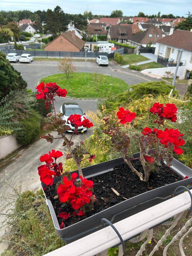 Gîte pour 2 personnes, avec sauna ainsi que jardin et vue, animaux acceptés à Étaples - 3