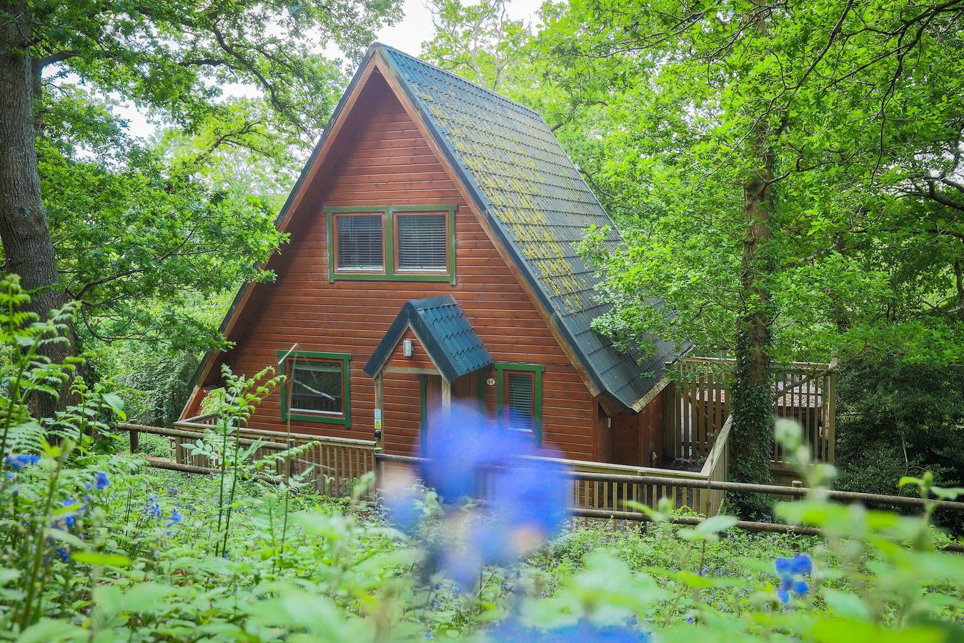 Lodge 68 - Fern Gully in Hennock, Devon