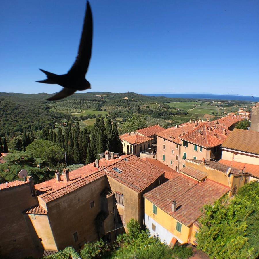 Anitta Guesthouse in Castagneto Carducci, Etruskische kust