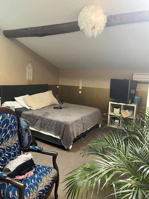 Villa pour 7 personnes, avec piscine à Toulouse - 4