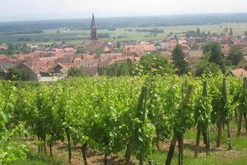 Gîte pour 2 personnes, avec terrasse et jardin à Kintzheim