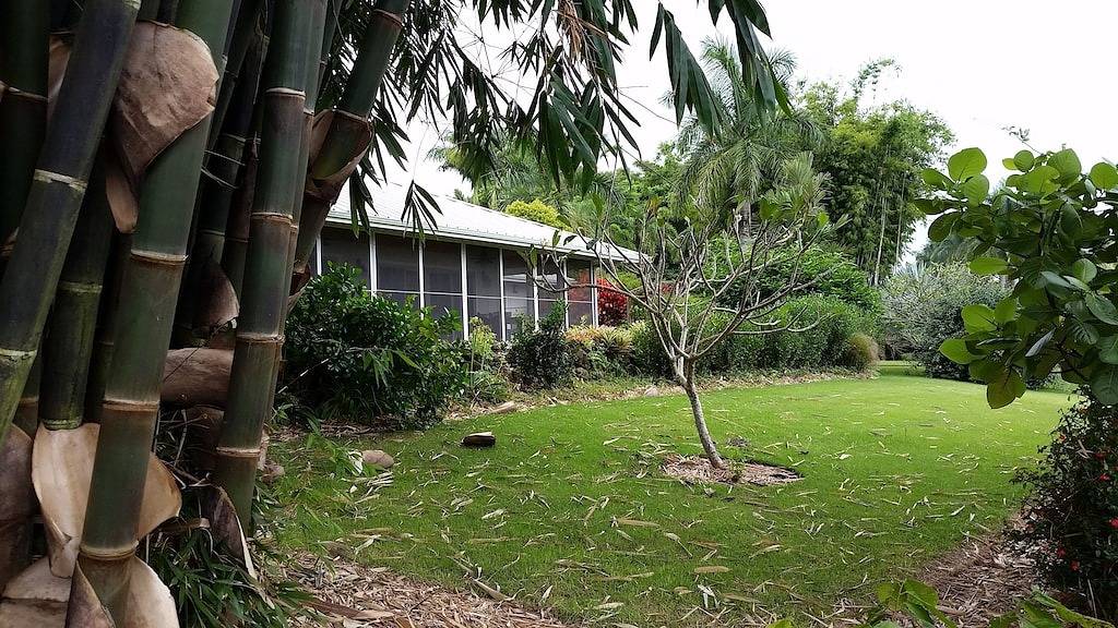 Kostenlose Zip Line Tour mit 1 Woche Aufenthalt im Home at Botanical World in Hakalau, Hamakua