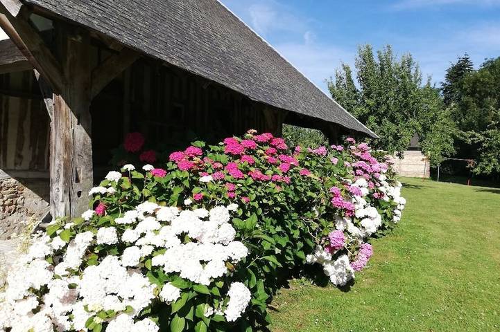Gîte pour 2 personnes, avec piscine ainsi que terrasse et jardin à Le Mesnil-sur-Blangy - 3