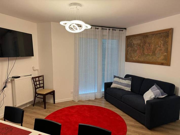 Gîte pour 15 personnes, avec terrasse et vue à Drancy - 2