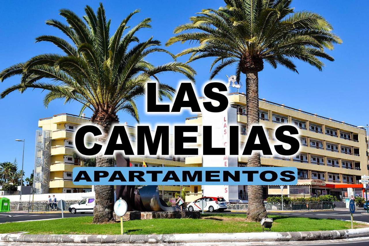 Las Camelias Apartments in Maspalomas, San Bartolomé de Tirajana