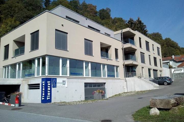 Ganze Wohnung, Smartes 1,5 Zimmer Appartement in ruhigem Mehrfamilienhaus in Au (SG), Bodensee (Schweiz)