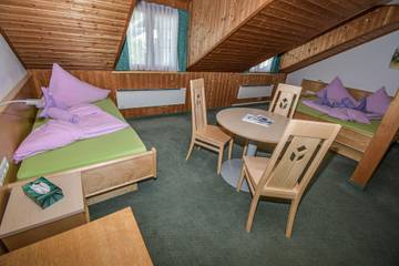 Pension für 3 Personen in Schladming, Liezen und Umgebung, Bild 4