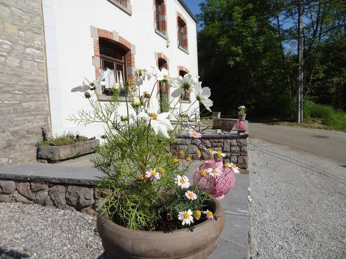 Gîte pour 3 personnes, avec jardin à Philippeville
