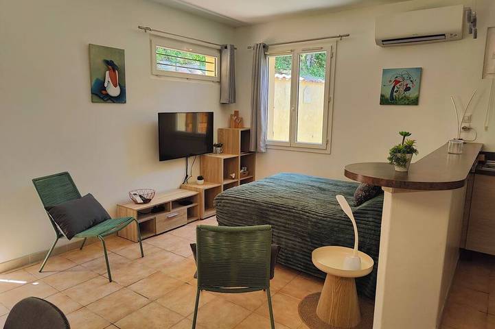 Entire apartment, Comfortable, air-conditioned studio with a private pool, a 5-minute drive from the ocean in Saint-Paul-de-Vence, Mediterranean Coast (France)