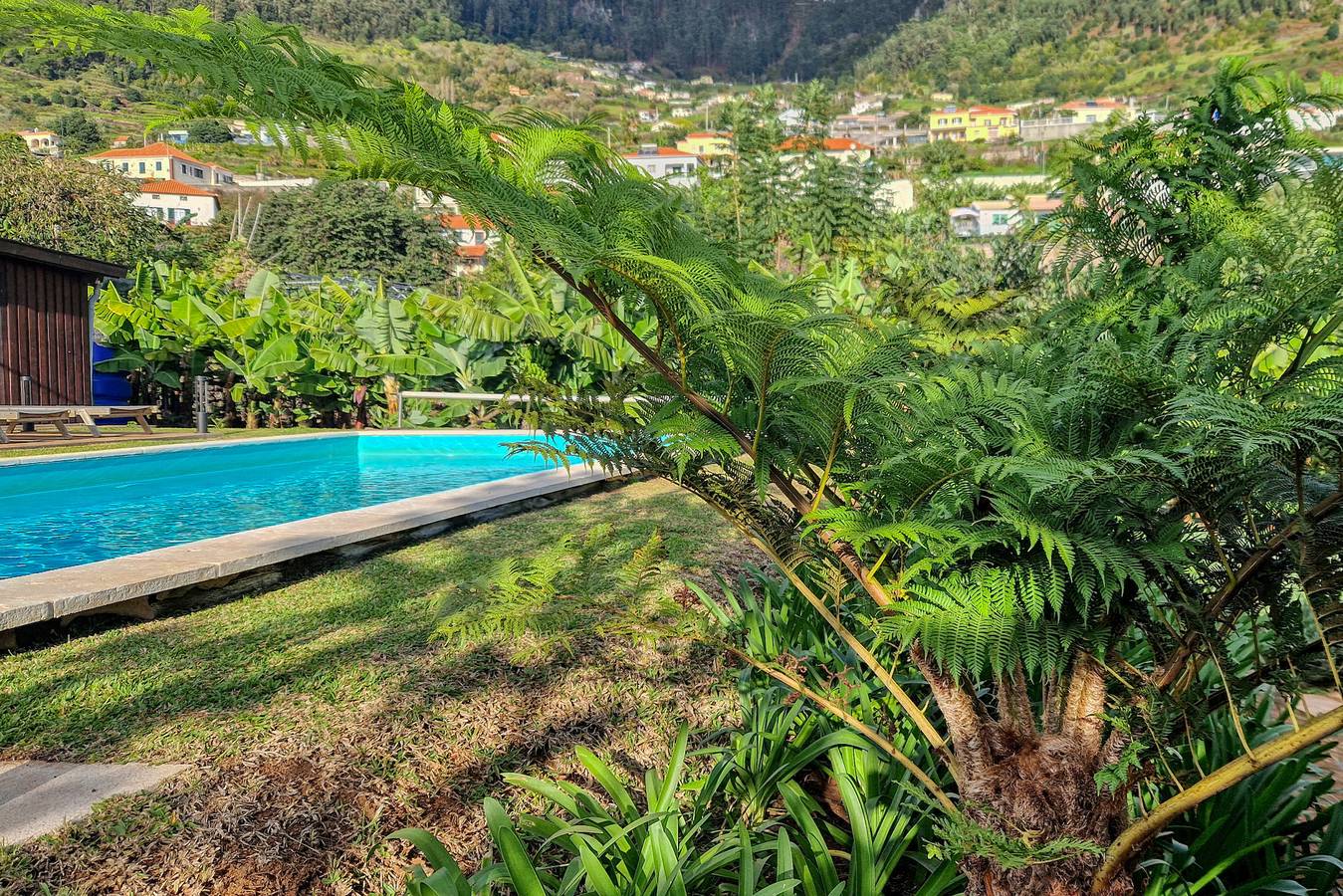 Villa Santa Madalena, a Home in Madeira in Arco da Calheta, Madeira