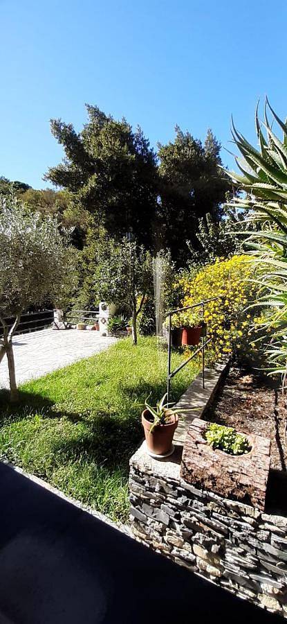 Collina e mare in Camogli, Riviera di Levante