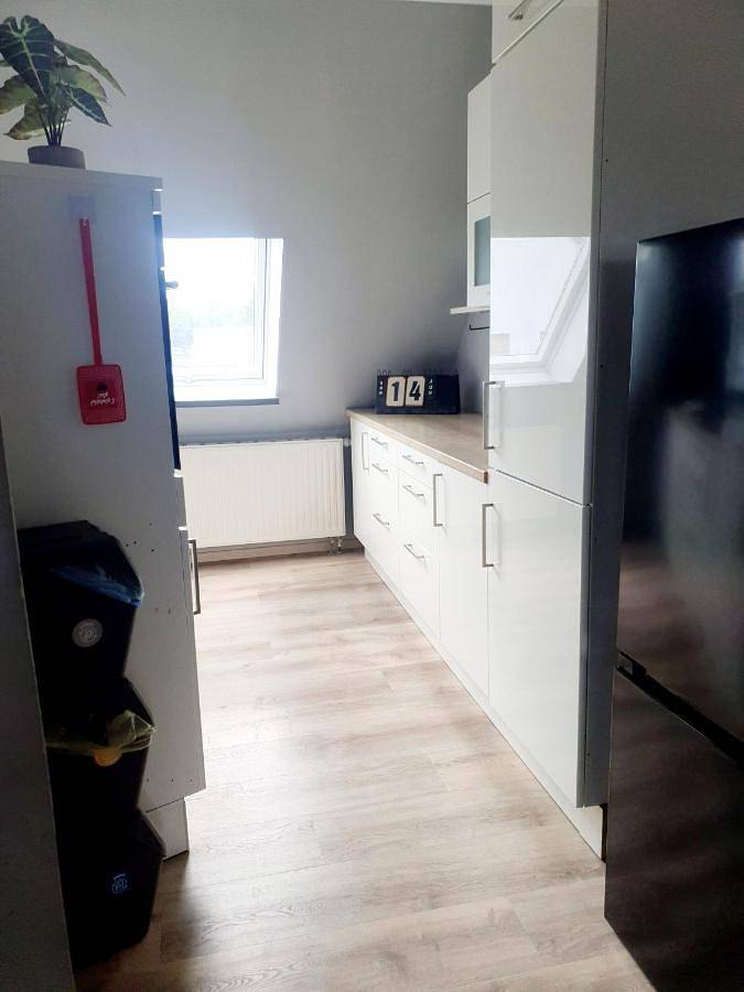 Ferienwohnung für 3 Personen, mit Terrasse und Garten in Beilrode - 3