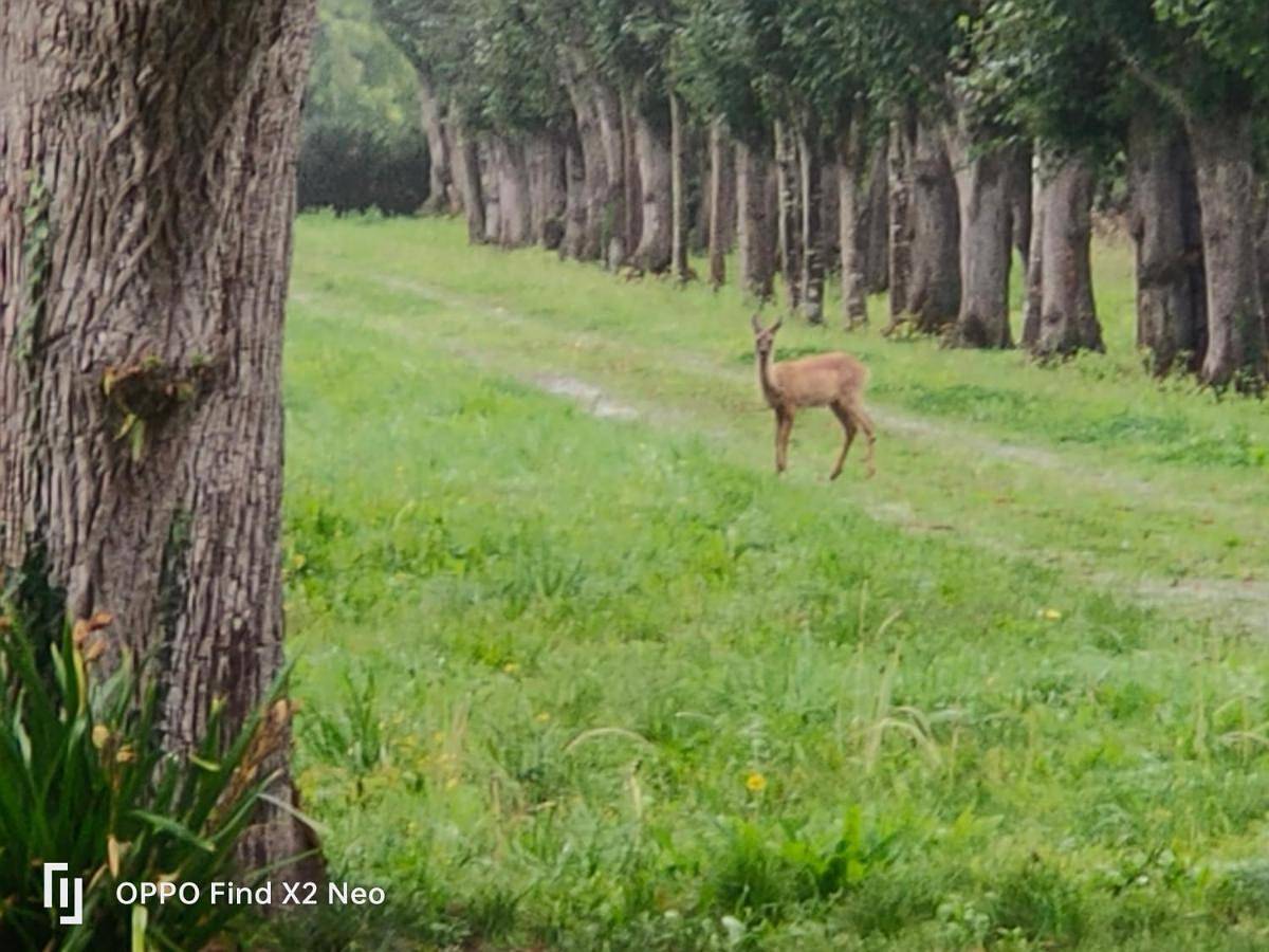 Domaine du Manoir de Vains in Vains, Baie du Mont-Saint-Michel