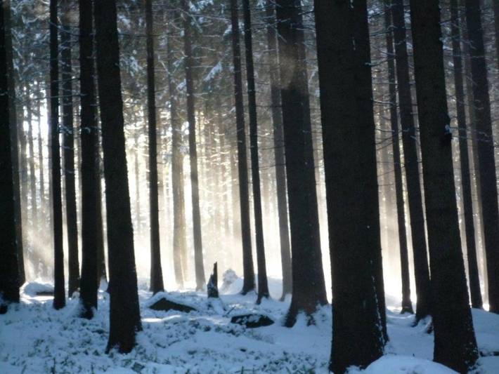 Ferienhaus für 11 Personen, mit Garten und Whirlpool, kinderfreundlich in der Oberlausitz - 2