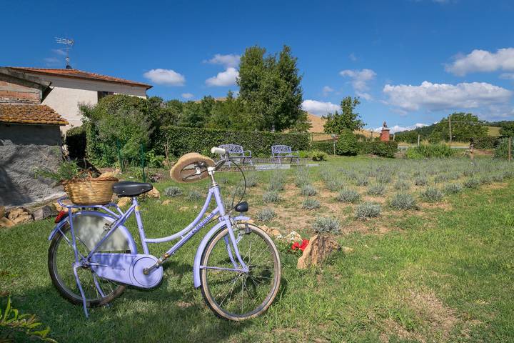 Gîte pour 5 personnes, avec bassin pour enfant et jardin à Volterra - 4
