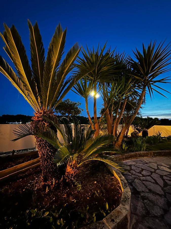 Gîte pour 6 personnes, avec Balcon et Terrasse ainsi que Jardin et Piscine à Selva di Fasano - 2