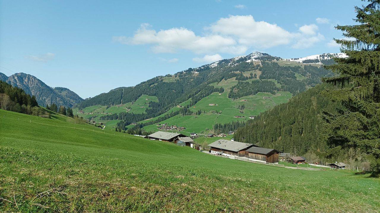 Ganze Ferienwohnung, Ferienwohnung für 3 Personen (22 m²) in Alpbach in Inneralpbach, Alpbach