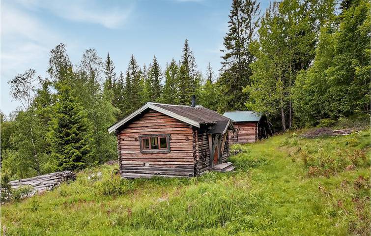 Ferienhaus für 6 Personen mit Garten in Sigdal