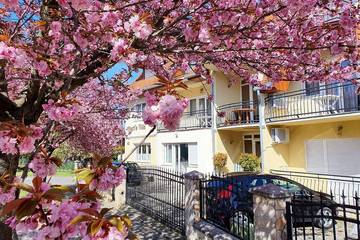 Ferienwohnung für 3 Personen, mit Garten und Whirlpool sowie Balkon und Sauna in Heviz